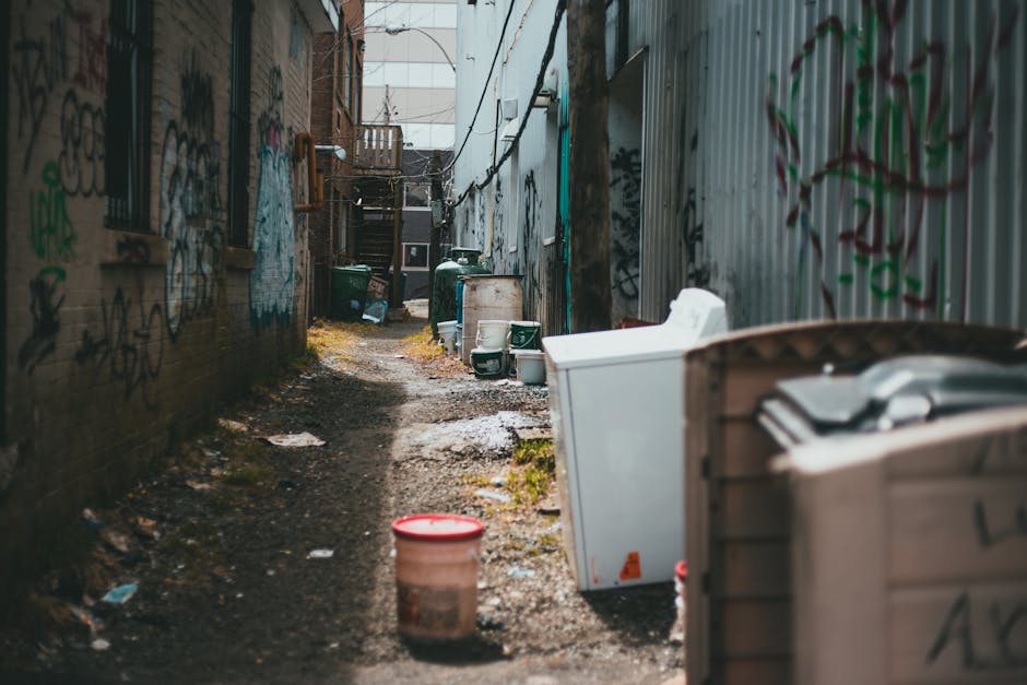 TW9 Rubbish Clearance Tips for Richmond Homeowners